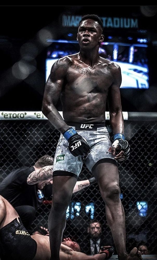 Expert Fight Predictions