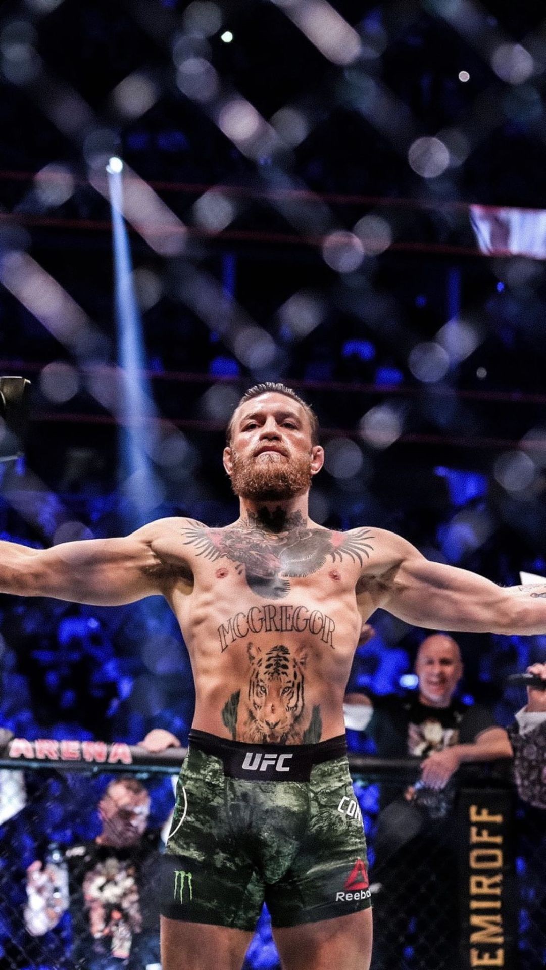 In-Depth Fighter Analysis
