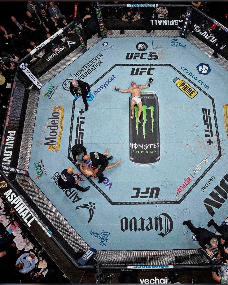 Weekly Fight Insights
