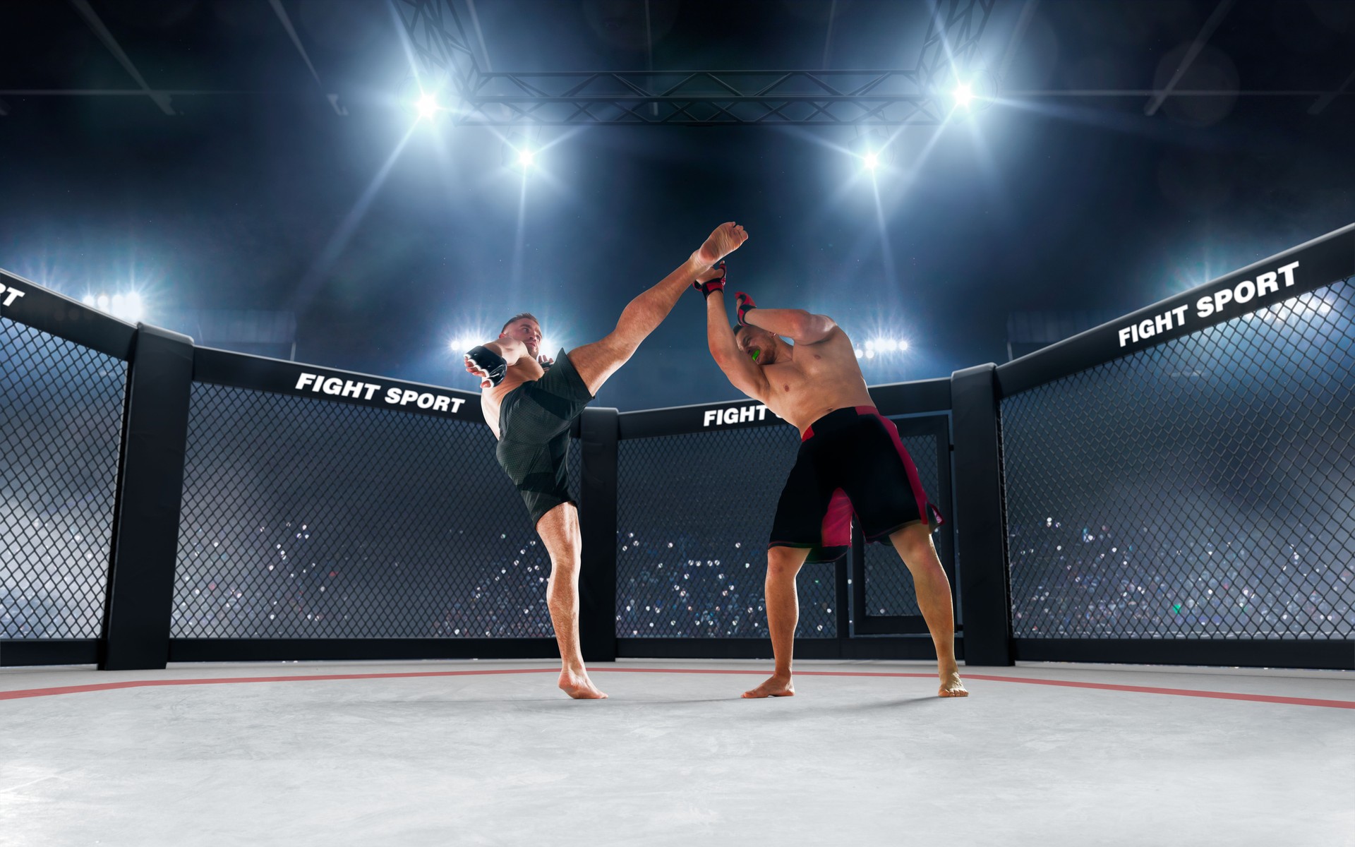 MMA fighters on ring.