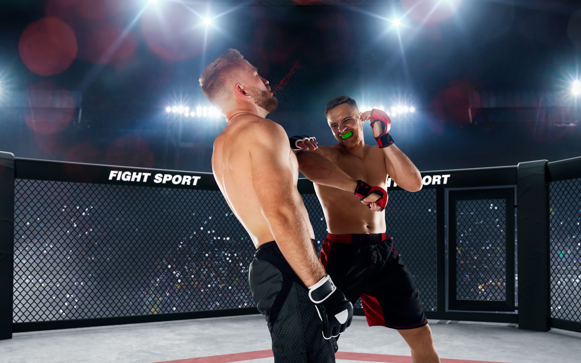 MMA fighters on ring.